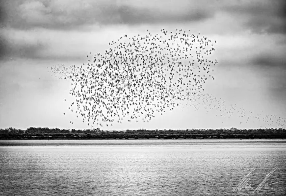 Bild: FAPA - Fine Art Photography Awards - First Fine Art Photography Contest