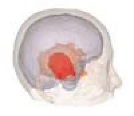 Heidelberger Innovationsforum - Forscher und Marktakteure früh vernetzen Bild: Heidelberger Innovationsforum - Forscher und Marktakteure früh vernetzen