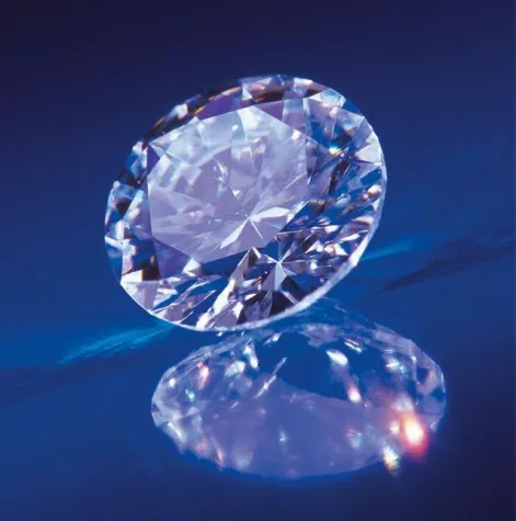 Bild: Den Tod per Mausklick organisieren