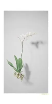 Bild: Ausstellungseröffnung am diesjährigen Tag der offenen Tür bei corpus curare