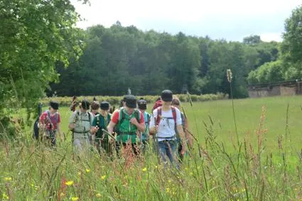 Intensives Teambuilding in freier Natur Bild: Intensives Teambuilding in freier Natur