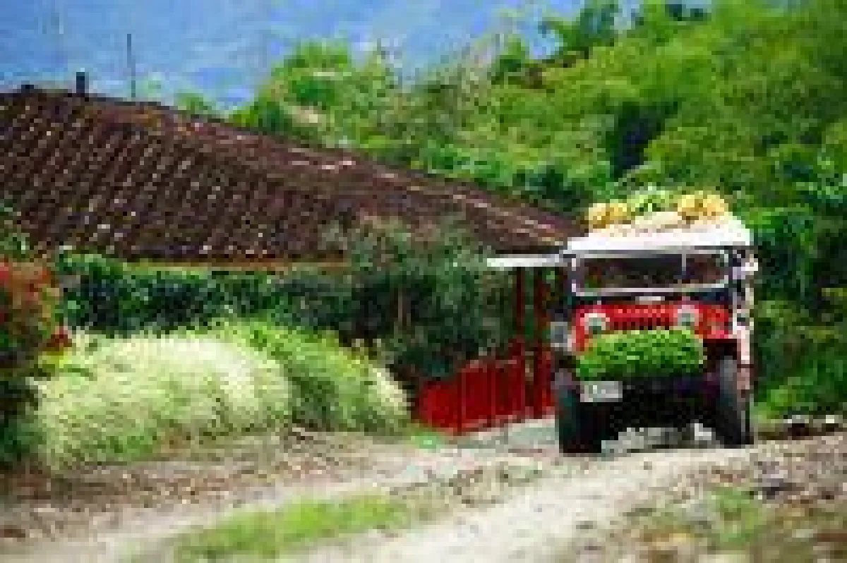 Im Kaffeegebiet Kolumbiens