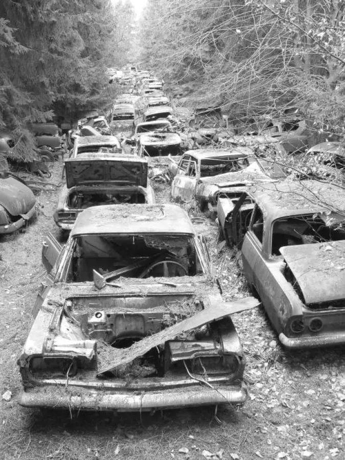 Avenue - Copyright Oliver Specht