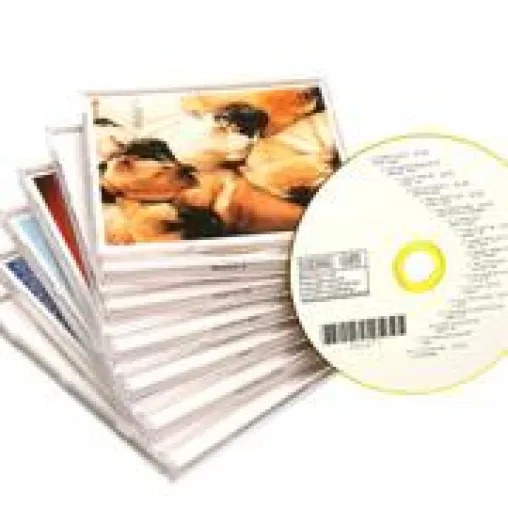 Bild: Online-Musik-Dienst vereint Downloads und CDs