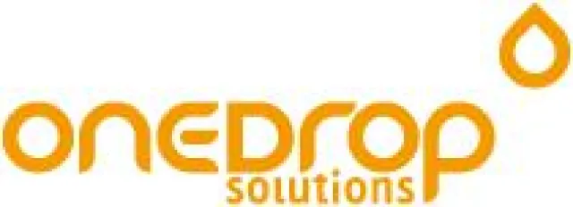 Bild: Die Nadel im Heuhaufen finden - die Wahl des richtigen Shopsystems