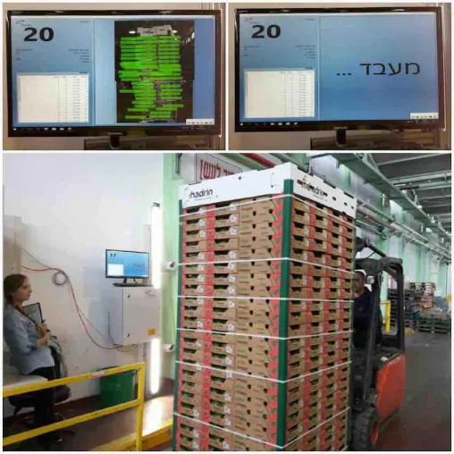 Granot Avocado erreicht mit Palettierungssoftware von Zetes 100 Prozent Versandgenauigkeit Bild: Granot Avocado erreicht mit Palettierungssoftware von Zetes 100 Prozent Versandgenauigkeit