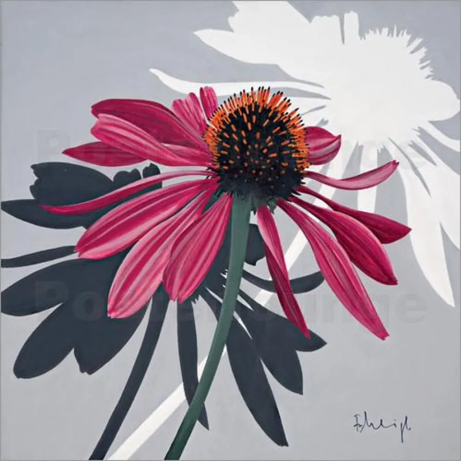 (c) Franz Heigl - shadow play / posterlounge.de