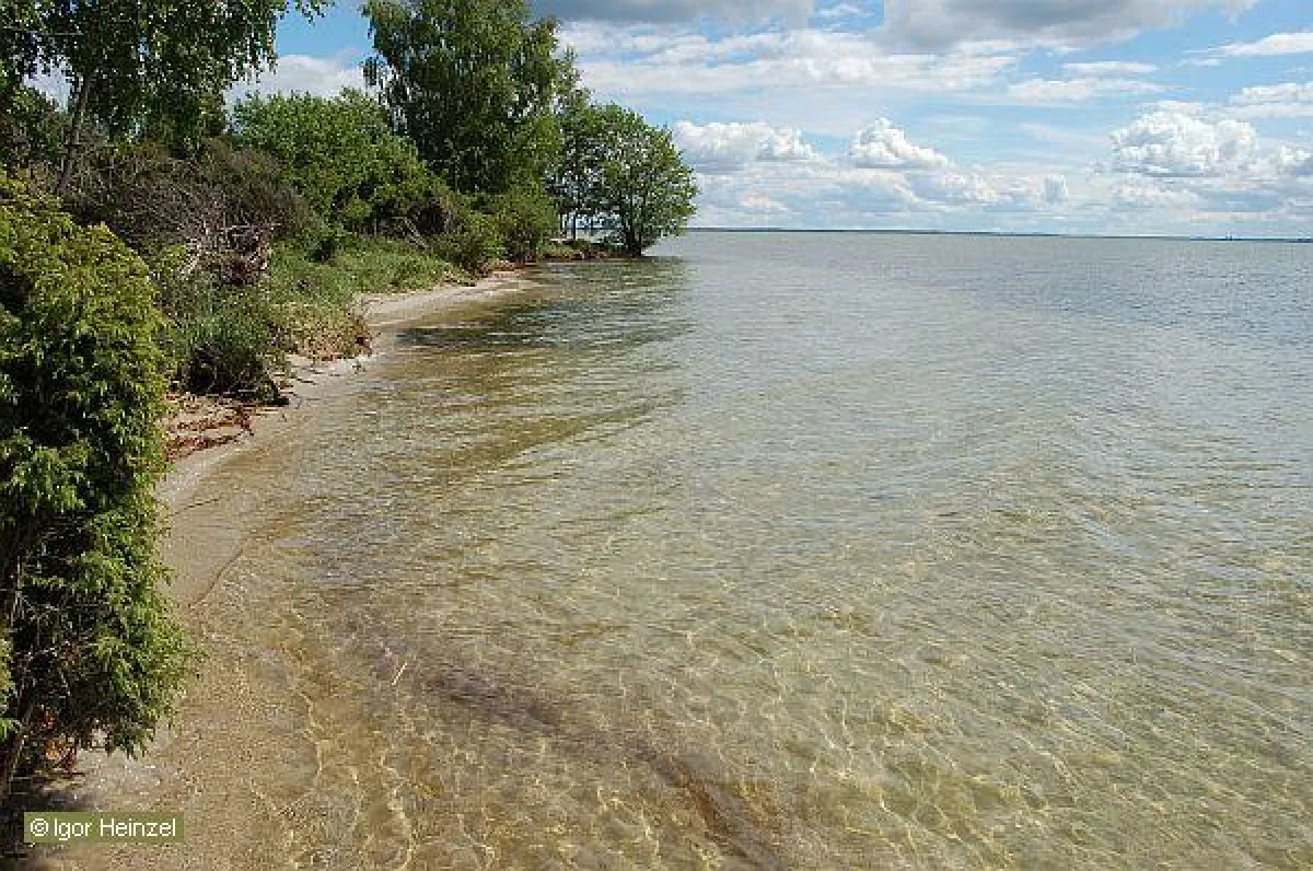 Foto: Igor Heinzel Faszination Wasser - Erlebnis Natur am Ostufer der Müritz
