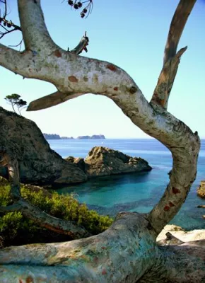 Bild: Entspannung und Inspiration im Urlaub auf Ibiza