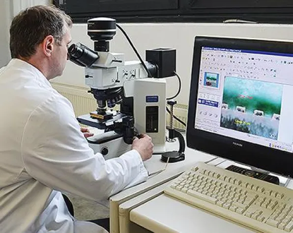 Bild: Bahnbrechende Miniaturisierung von Leiterplatten