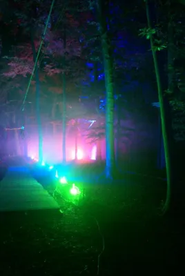 Bild: Abendklettern im erleuchteten Kletterwald