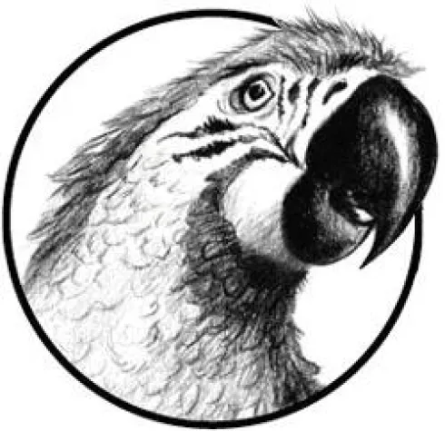 Bild: Podcast von P&P Studios lässt Aufhorchen