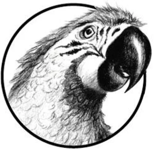Bild: Podcast von P&P Studios lässt Aufhorchen