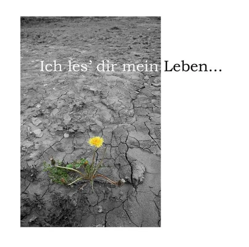 Ich les\' dir mein Leben...