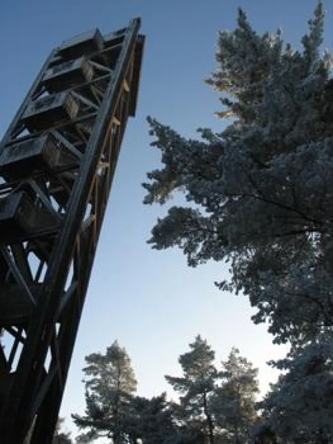 Aussichtsturm Rennberg im Naturpark Hohe Mark