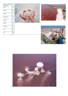 Bild: Sivash Meersalz - Heilsalz von der Krim