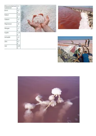 Bild: Sivash Meersalz - Heilsalz von der Krim