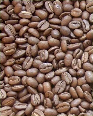 Bild: Kaffee – ein Segen für die Leber? Was Forschungsergebnisse zeigen