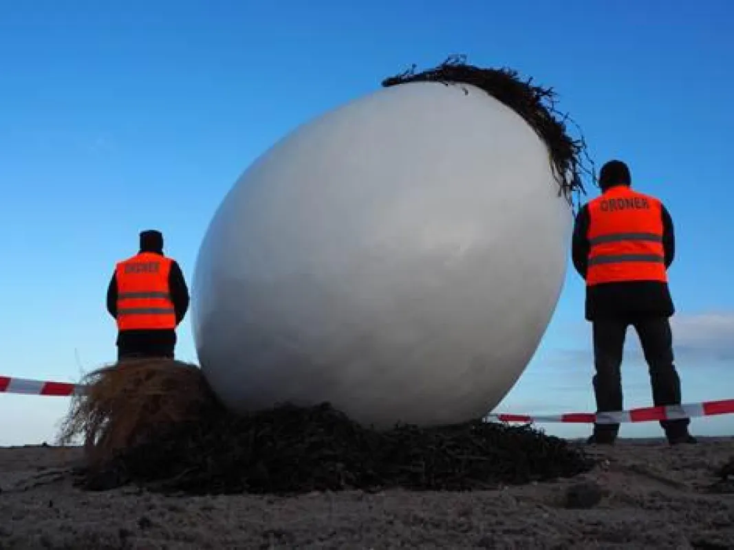 Das Ei wird am Damper Ostseestrand bewacht.