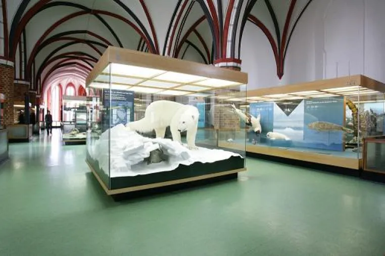 Bild: Deutsches Meeresmuseum Stralsund: geplante Modernisierung wird von HITZLER INGENIEURE betreut