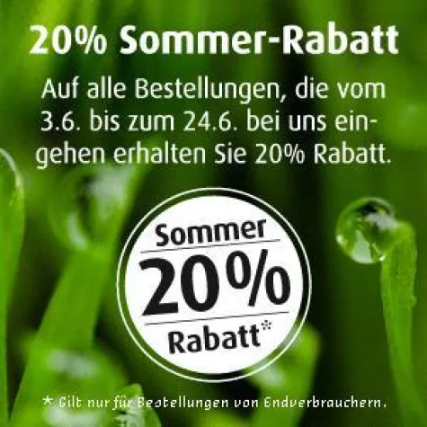 Bild: Sommer-Rabattaktion der Quintessenz health products GmbH nur noch wenige Tage