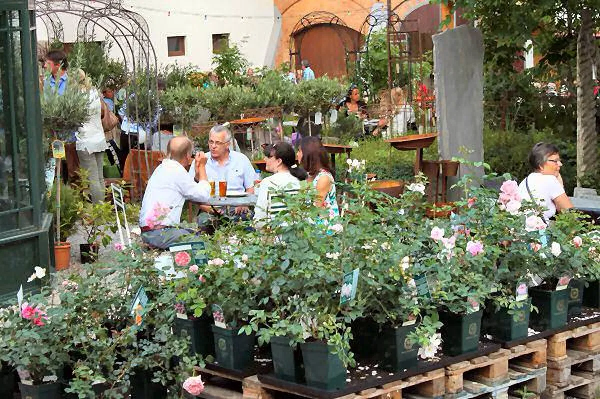 Das Liebenauer Landleben lädt am 26. Juni zur kulinarischen Gartenparty ein.