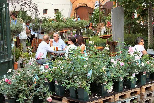 All about Davenport im Liebenauer Landleben Bild: All about Davenport im Liebenauer Landleben