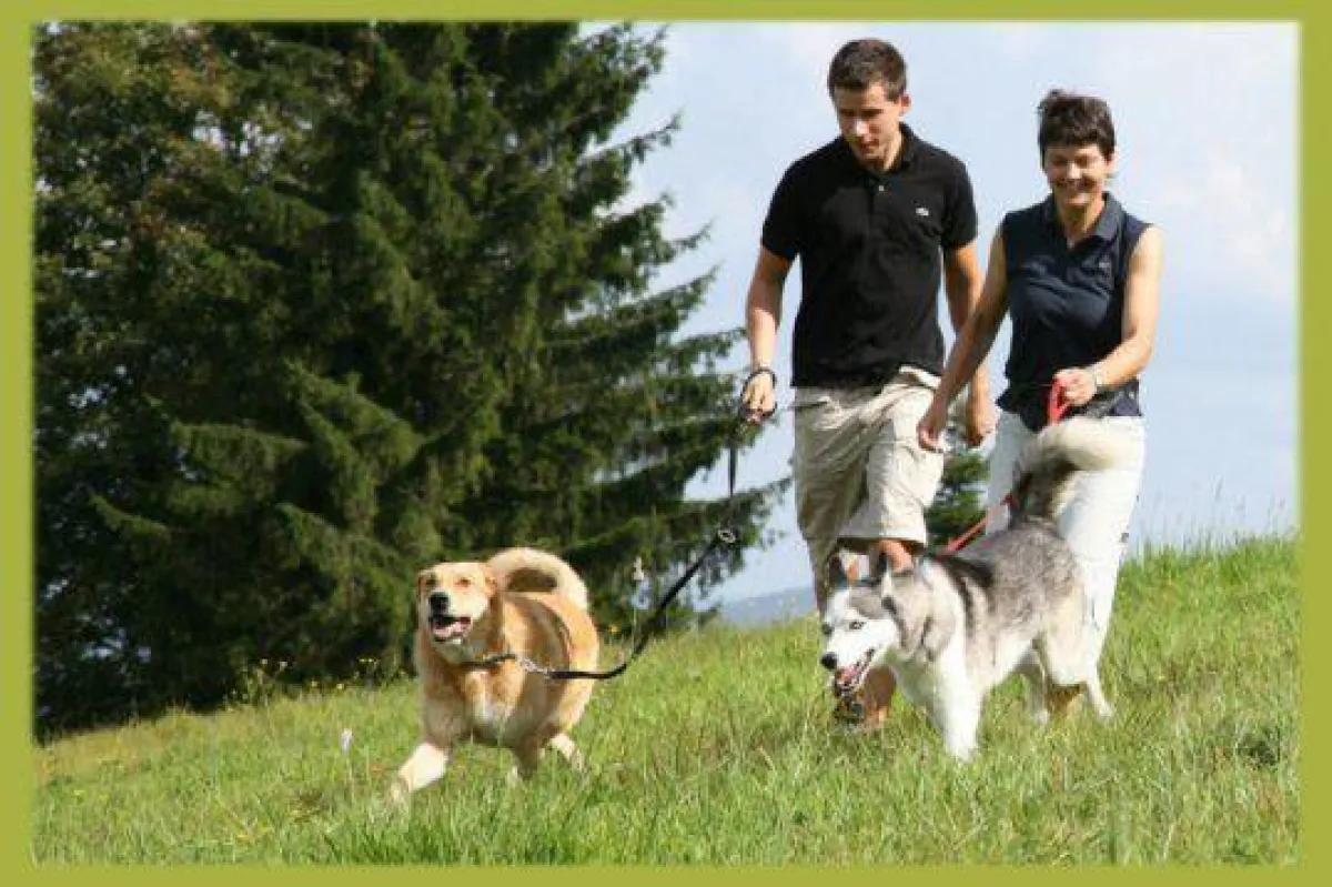 Das gute Hotel mit Hund