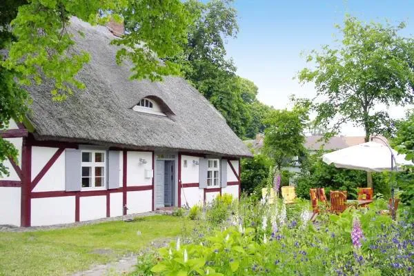 Ferienhaus auf Zudar: Rügens gemütliche Seite entdecken Bild: Ferienhaus auf Zudar: Rügens gemütliche Seite entdecken