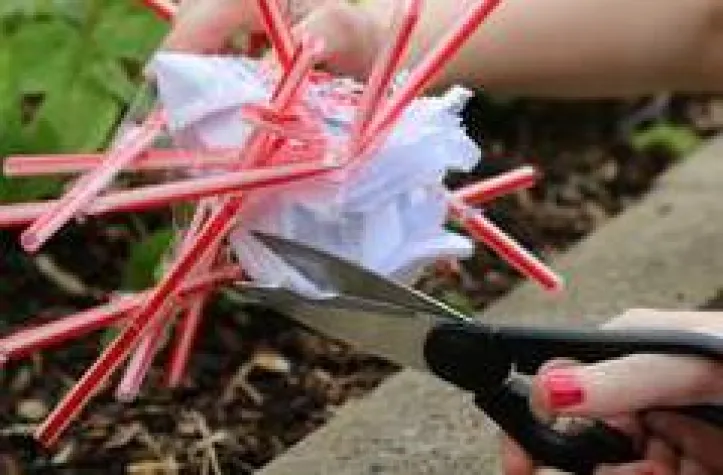 Bild: Logistics Trophy