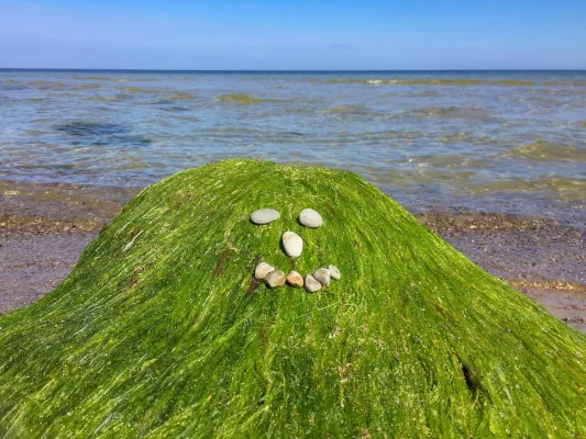 Bild: RügenInsider – vielfältige Reportagen über die Insel Urlaubsblog erhält Gütesiegel für Qualität und Aktualität