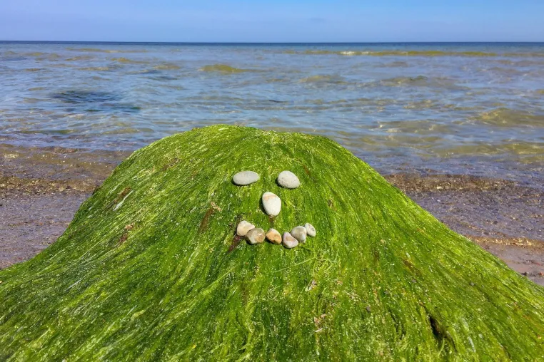 RügenInsider – vielfältige Reportagen über die Insel Urlaubsblog erhält Gütesiegel für Qualität und Aktualität Bild: RügenInsider – vielfältige Reportagen über die Insel Urlaubsblog erhält Gütesiegel für Qualität und Aktualität