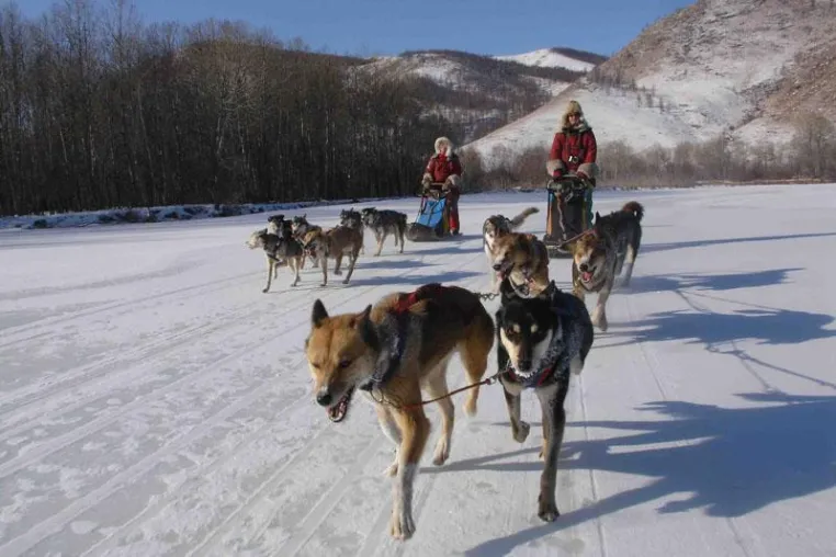 Hundeschlittentouren in der Mongolei, am Baikalsee und auf Kamtschatka Bild: Hundeschlittentouren in der Mongolei, am Baikalsee und auf Kamtschatka