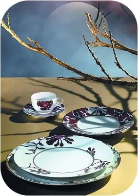 Bild: Schoenes Porzellan – das Auge isst mit - Der erste optische Eindruck ist für den Geschmack verantwortlich.