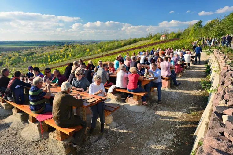Von der Kohle zum Wein Bild: Von der Kohle zum Wein