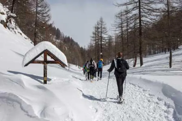 Bild: Schneeschuhrennen im Hinterland des Lago Maggiore