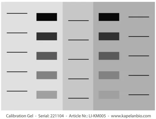 Bild: PQ-Erweiterung: Erste vollständige Systemvalidierung für 1D Gele/Western Blots verfügbar
