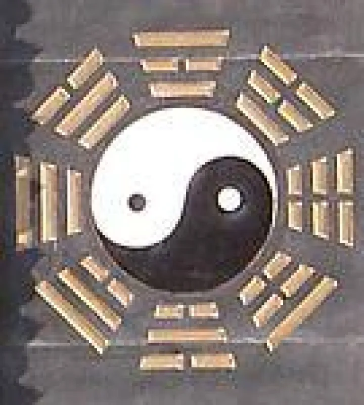Vortrag Herkunft Tai Chi