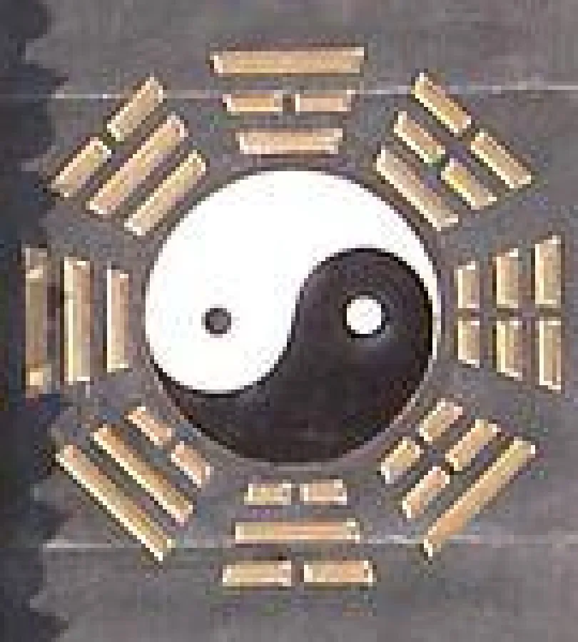 Vortrag Herkunft Tai Chi