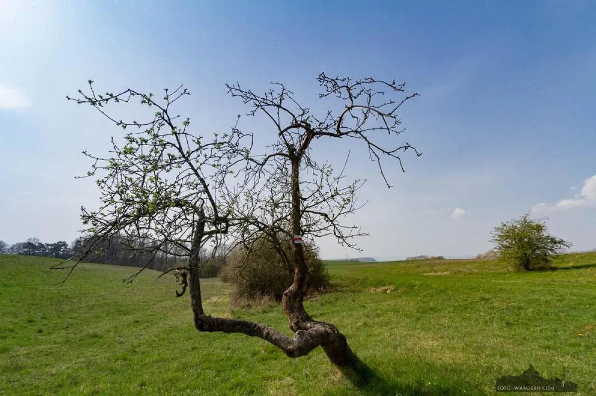 Rüdigsdorfer Schweiz © Andreas Levi - Foto-Wandern.com