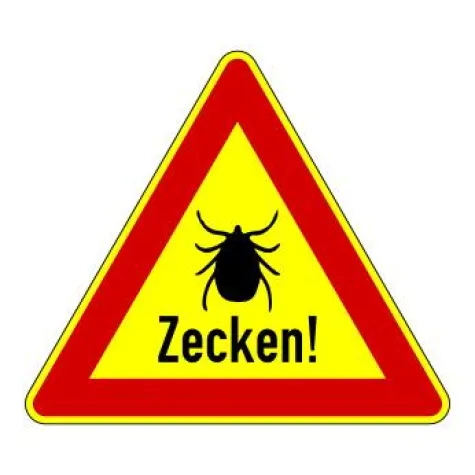 Bild: Zeckenbiß- Vorsicht schützt vor Folgen nicht