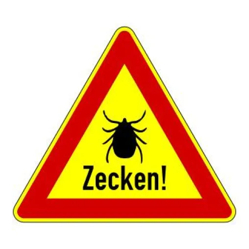 Zeckenbiß- Vorsicht schützt vor Folgen nicht Bild: Zeckenbiß- Vorsicht schützt vor Folgen nicht