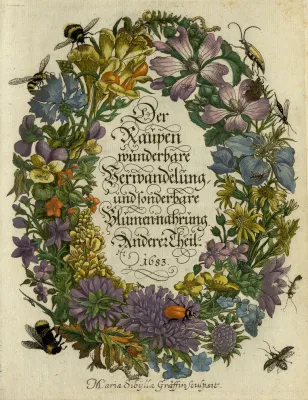 Bild: Wissensschätze digital vernetzt: Senckenberg wird Teil der Biodiversity Heritage Library