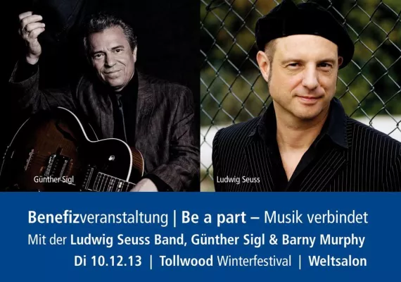 Bild: Konzert auf dem Wintertollwood 2013 mit Ludwig Seuss Band, Günther Sigl & Barny Murphy