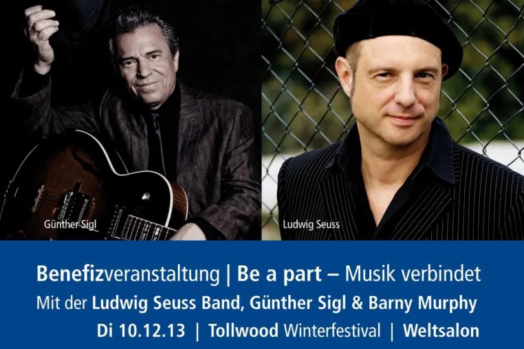 Bild: Konzert auf dem Wintertollwood 2013 mit Ludwig Seuss Band, Günther Sigl & Barny Murphy