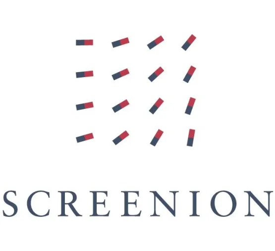 Bild: Screenion: Social Media Beratung einmal anders