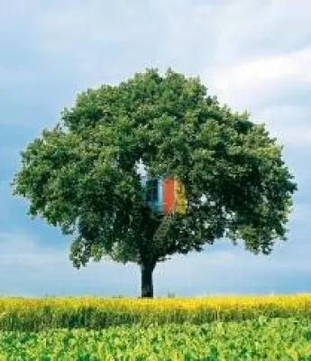 Bild: AURO – „CO2-neutral“-zertifizierter Farbenhersteller