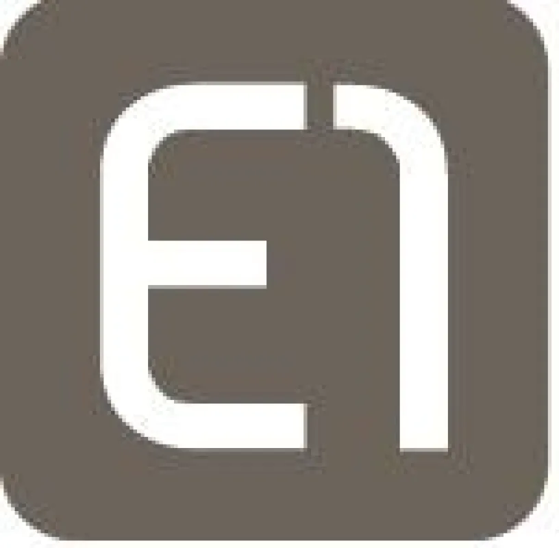E1 International Investment Holding