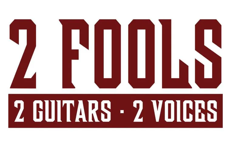 Bild: Musiksommer 2015 - 2 Fools & Friends - Live im Down Under