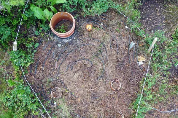 Bild: Pilze reagieren empfindlich auf wärmeres Klima